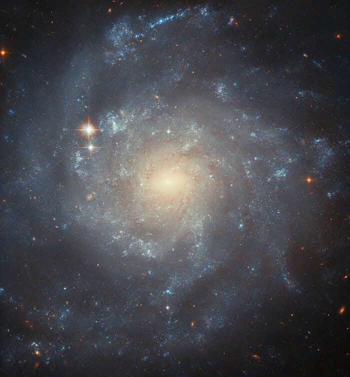 The spiral galaxy NGC 5668.