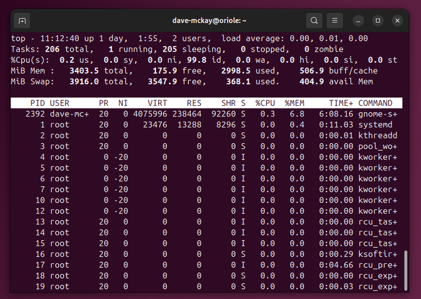 Linux Terminal See Processes How to find resource-hogging processes using the Linux command line