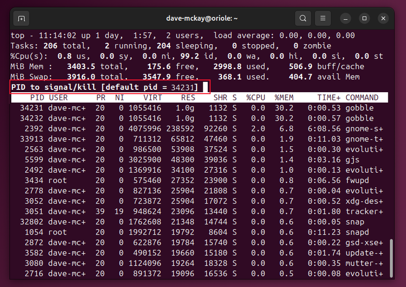 How to find resource-hogging processes using the Linux command line