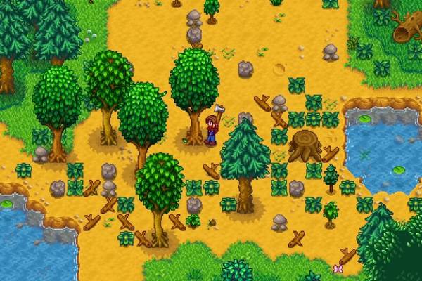 A Stardew Valley screenshot.