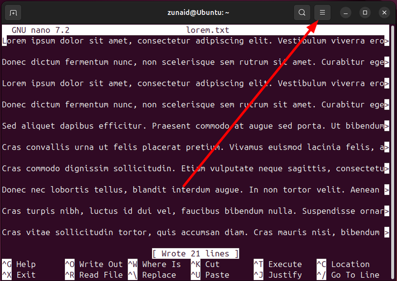 Terminal Menu How to Zoom the Linux Terminal