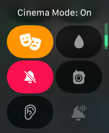 Cinema Mode keeps your watch dark while maintaining haptic alerts