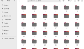 The proc directory in a file browser on Ubuntu Linux.