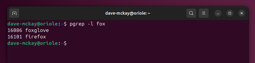 How to Manage Linux Processes Using ps, kill, and pkill