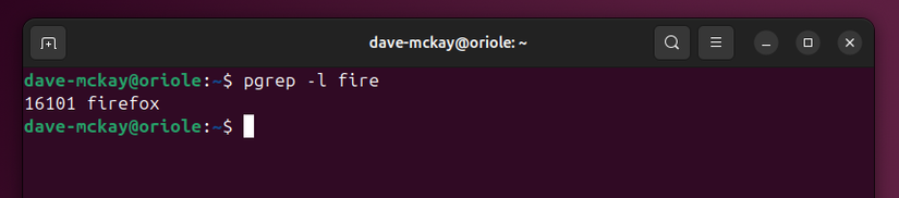 How to Manage Linux Processes Using ps, kill, and pkill
