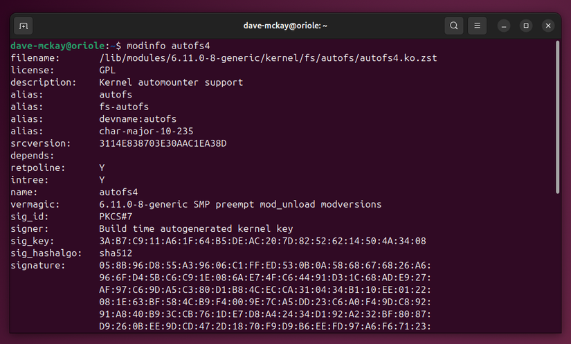 modinfo command linux: complete guide to display... What Is the Linux Kernel, and Why Does It Matter?