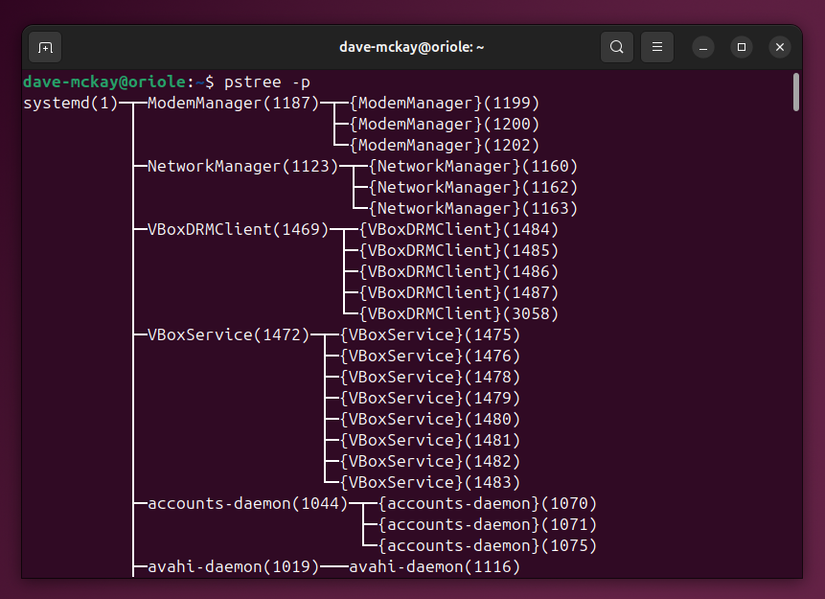 Process Stop Tree How to Manage Linux Processes Using ps, kill, and pkill