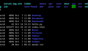 Terminal directory listings with the ls command.