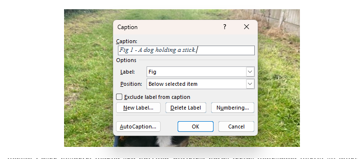 8 Must-Use Word Features for Academic Documents