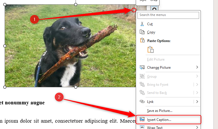 8 Must-Use Word Features for Academic Documents