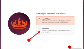 Ubuntu 24.04 live environment with the "Try Ubuntu" option highlighted with a red arrow.