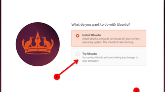 Ubuntu 24.04 live environment with the "Try Ubuntu" option highlighted with a red arrow.