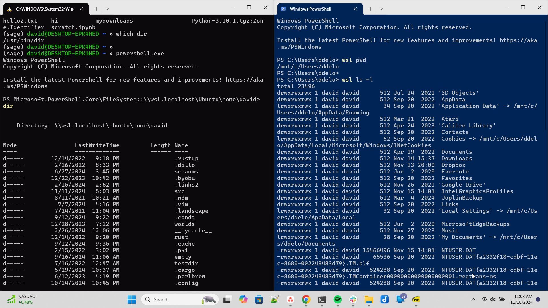 Windows Terminal's best features are hiding in these Linux-inspired customizations