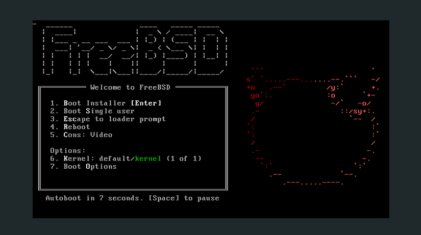 Bsd Program BSD: What is it, and how is it different from Linux?