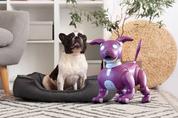 A French Bulldog in a pet bed with a robot dog beside it.