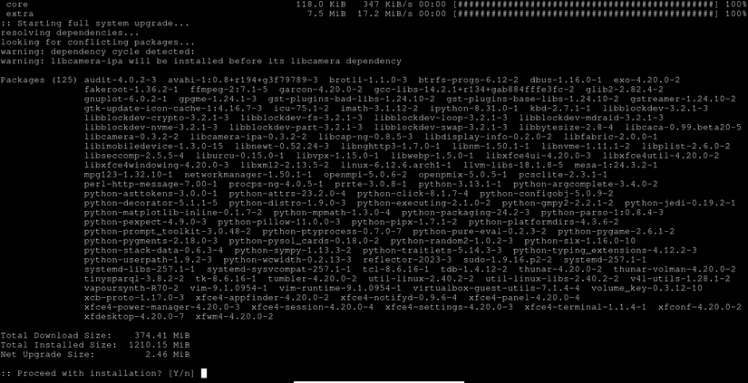 Arch Linux pacman package update asking for user confirmation in the terminal.,