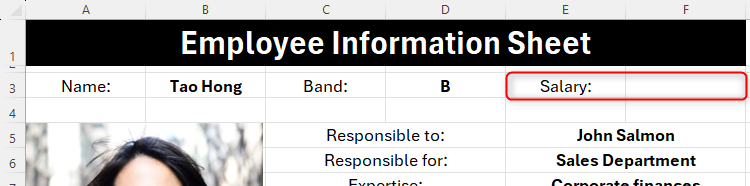 Numbers hidden from view in an employee information sheet in an Excel sheet by adusting the number format.