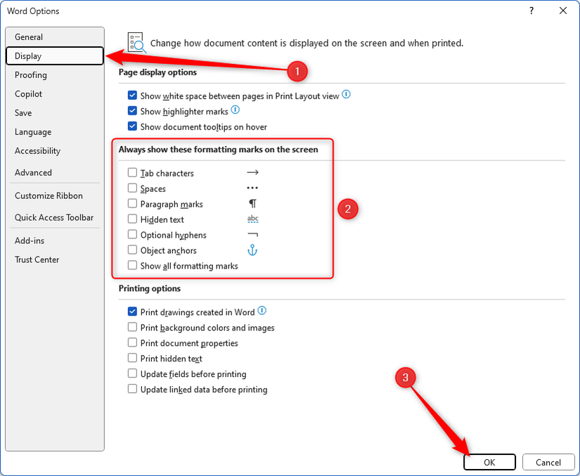 The option to always show formatting marks in the Display tab of the Microsoft Word Options window.
