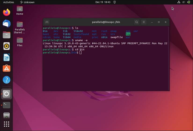 A screenshot showing the Ubuntu terminal and the output from several basic commands.