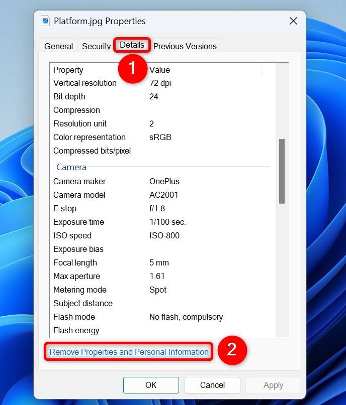 How To Stay Private By Stripping EXIF Data From Images On Windows 11 how-to-stay-private-by-stripping-exif-data-from-images-on-windows-11