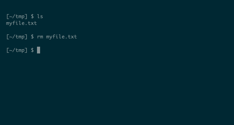 Rm Program The 8 Types of Linux Terminal Programs: Do You Know Them All?