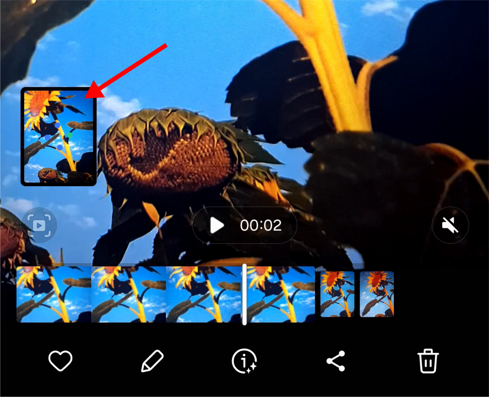 How To Turn On Motion Photos On Samsung Galaxy Devices