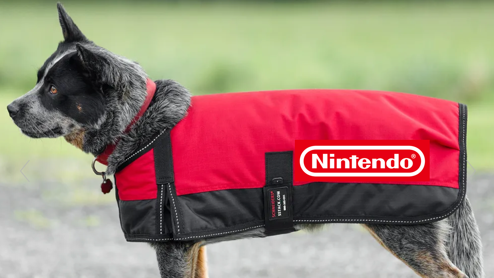 Nintendogs Merch Lost Nintendogs: Will the Switch 2 Get Nintendo’s Virtual Pets?