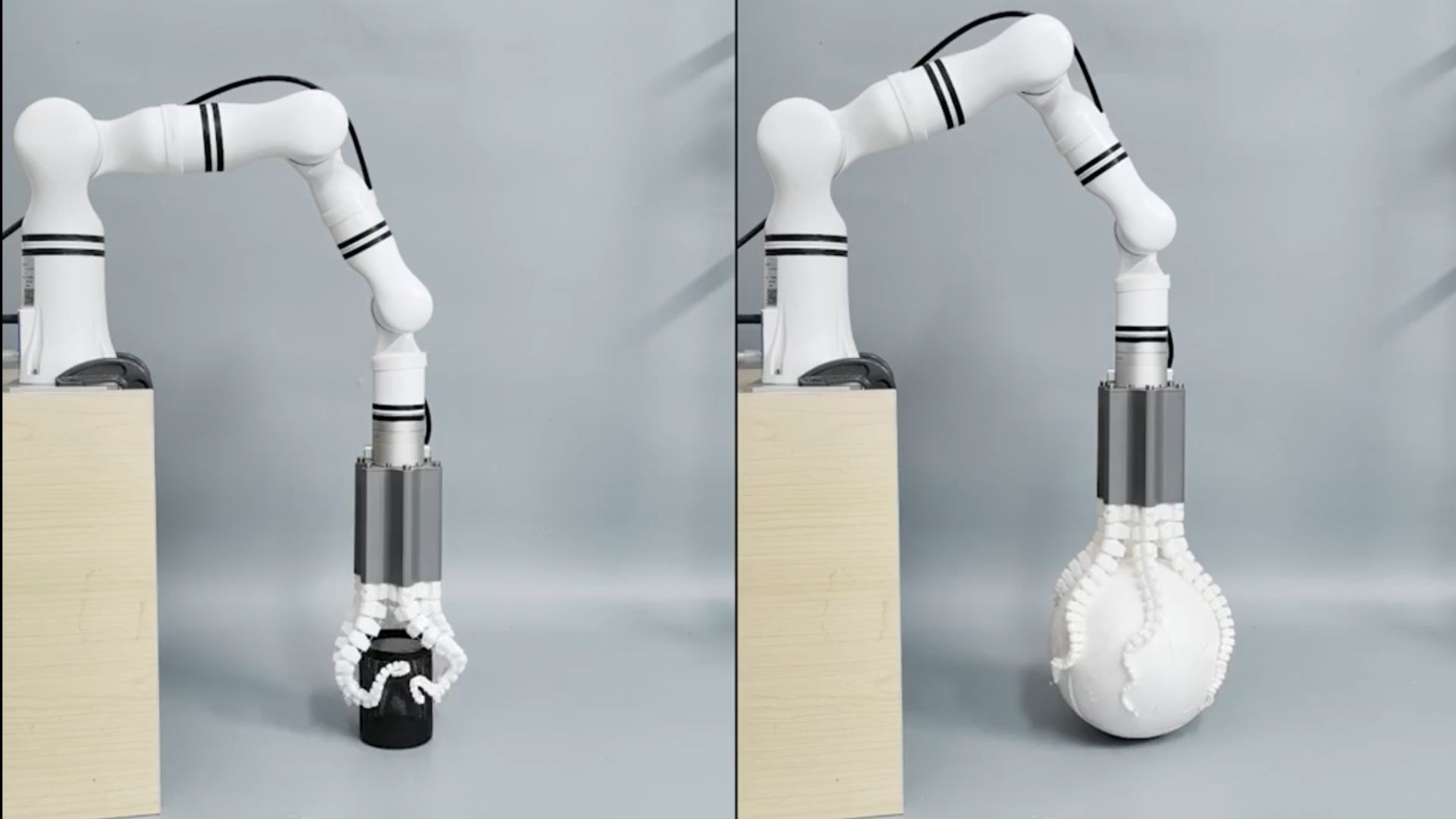 A multi SpiRob gripper grasping various objects.