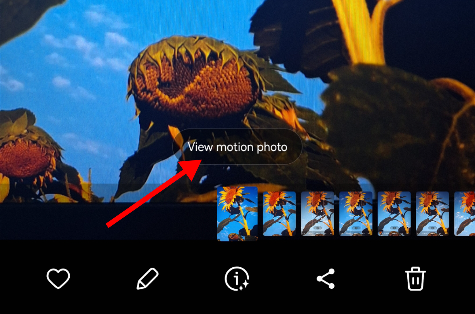 How To Turn On Motion Photos On Samsung Galaxy Devices