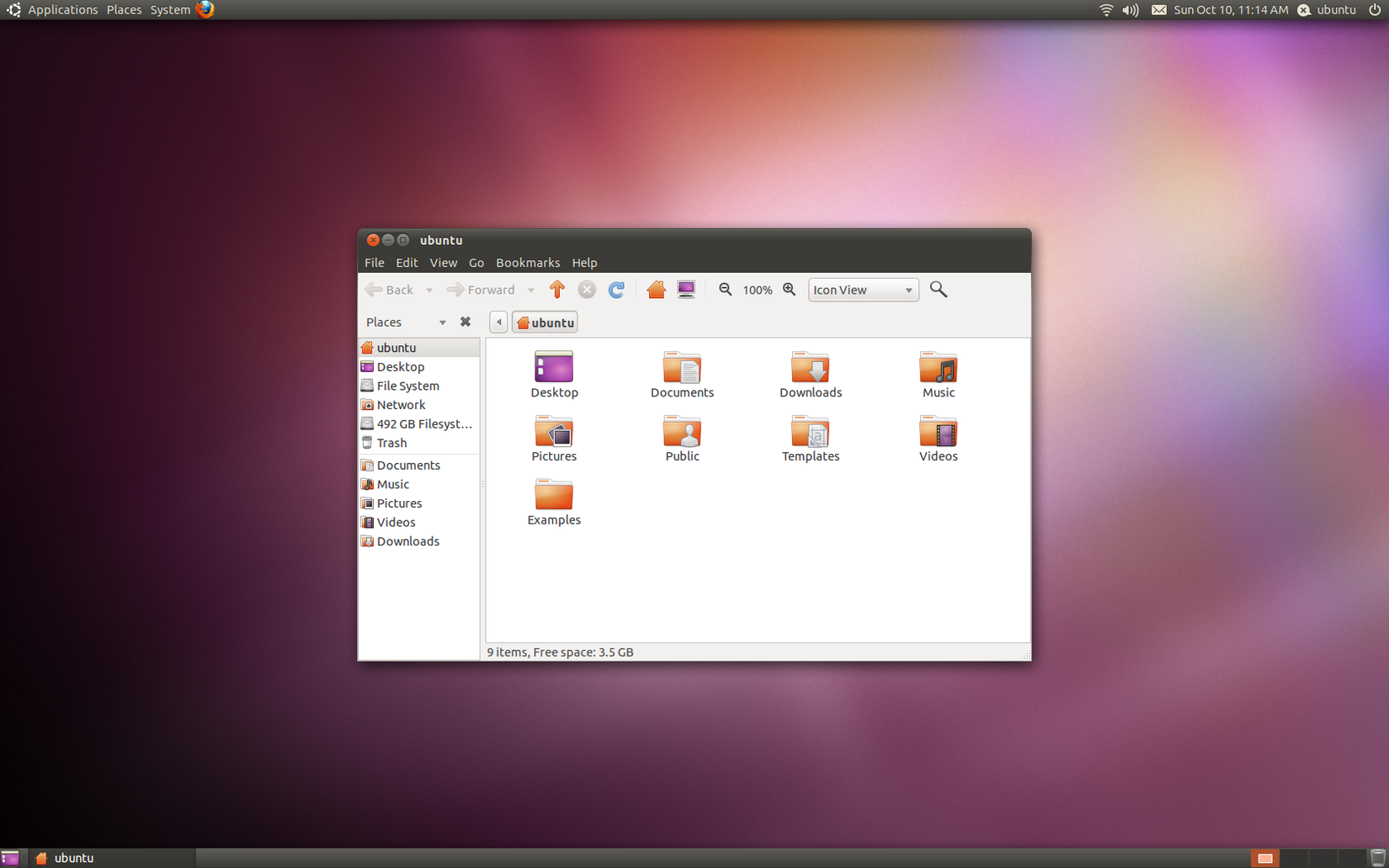 An Ubuntu 10.10 Maverick Meerkat desktop.