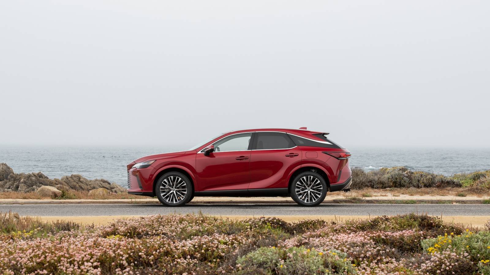 This Bulletproof Hybrid Proves Japanese Cars Still Rule Reliability in 2025
