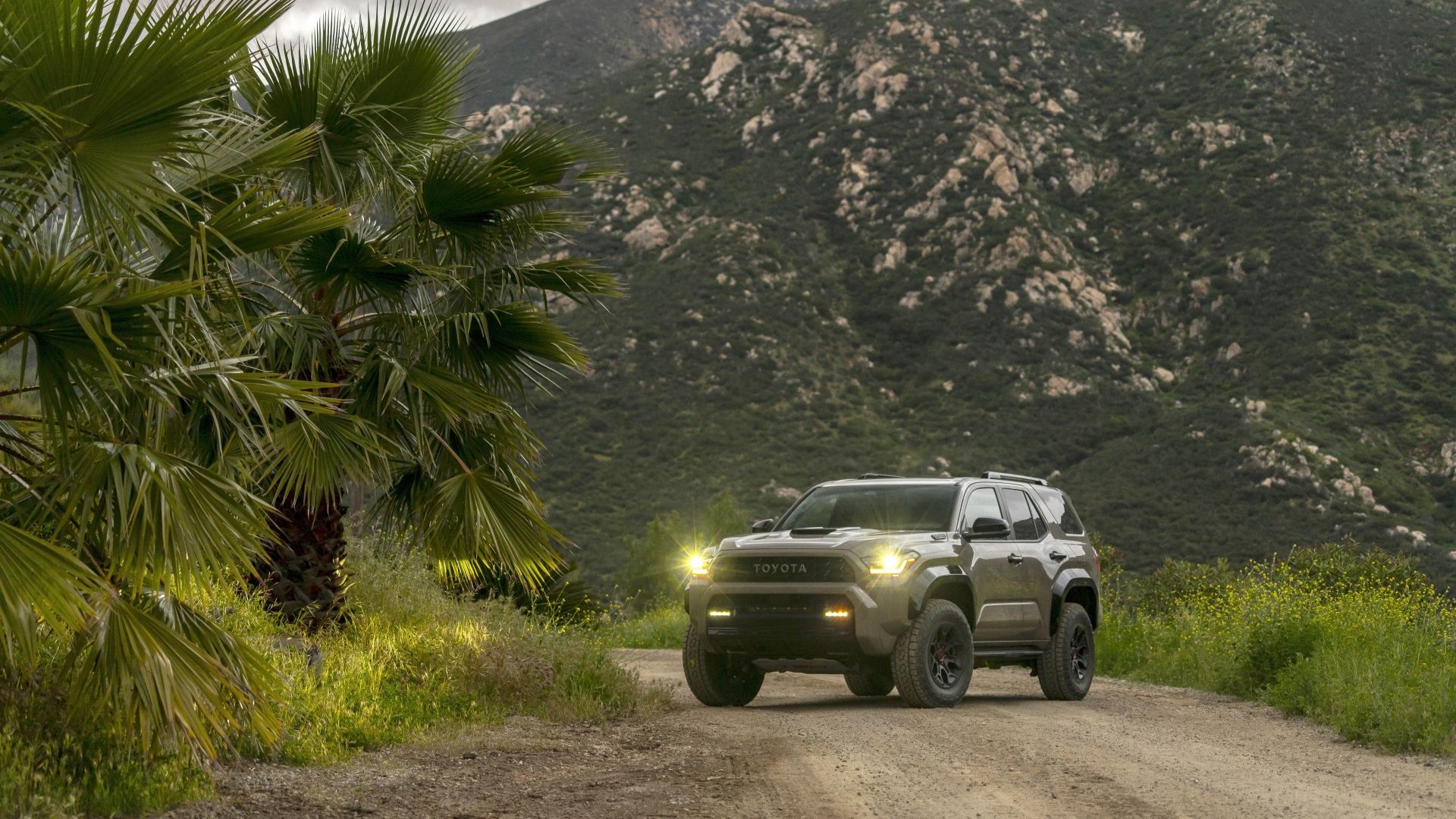 Front 3/4 shot of a 2025 Toyota 4Runner TRD Pro
