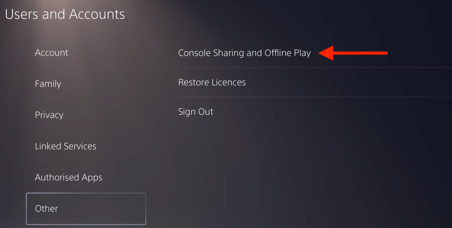 Enable Offline Play on Your PS5 Before PlayStation Network Goes Down Again