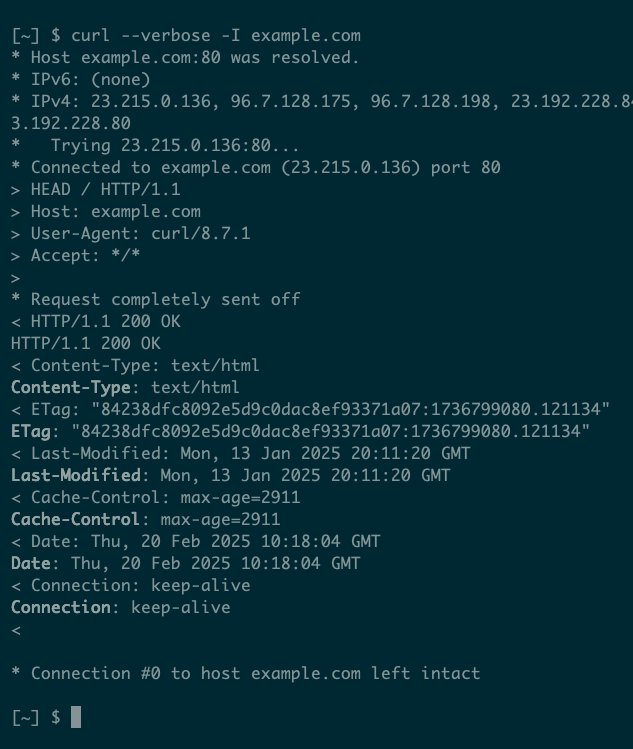 The internet from your terminal: 8 ways to use cURL
