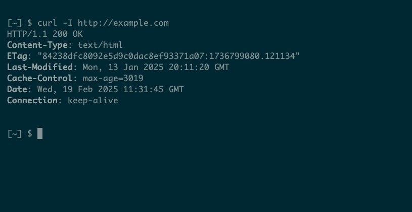 cURL показывает только заголовки ответа, например Content-Type и Last-Modified.
