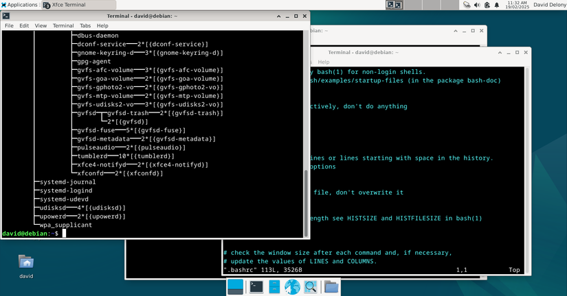 Xfce desktop with terminal windows open showing pstree output, the .bashrc file open in Vim, and a terminal shell window, all overlapping.