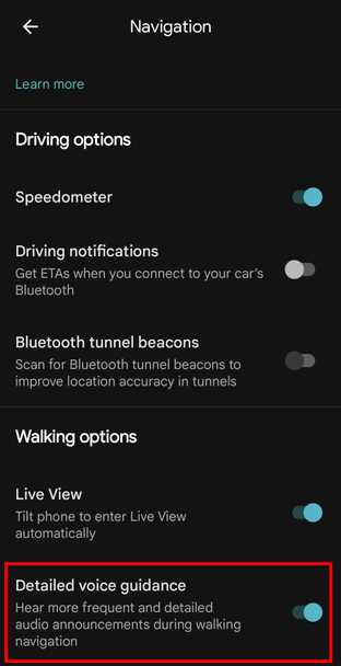 Google Maps navigation settings.