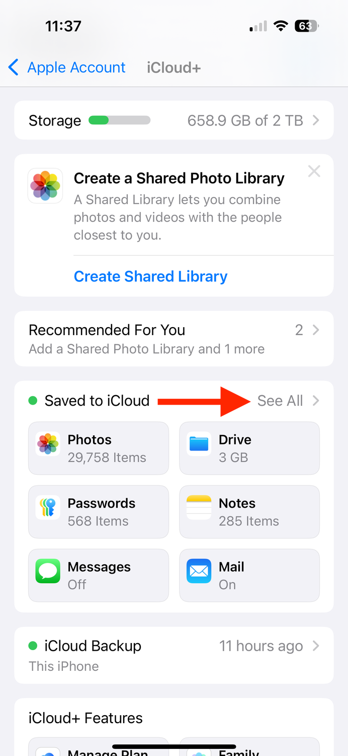 iCloud+ storage settings screenshot HomeKit Secure Video