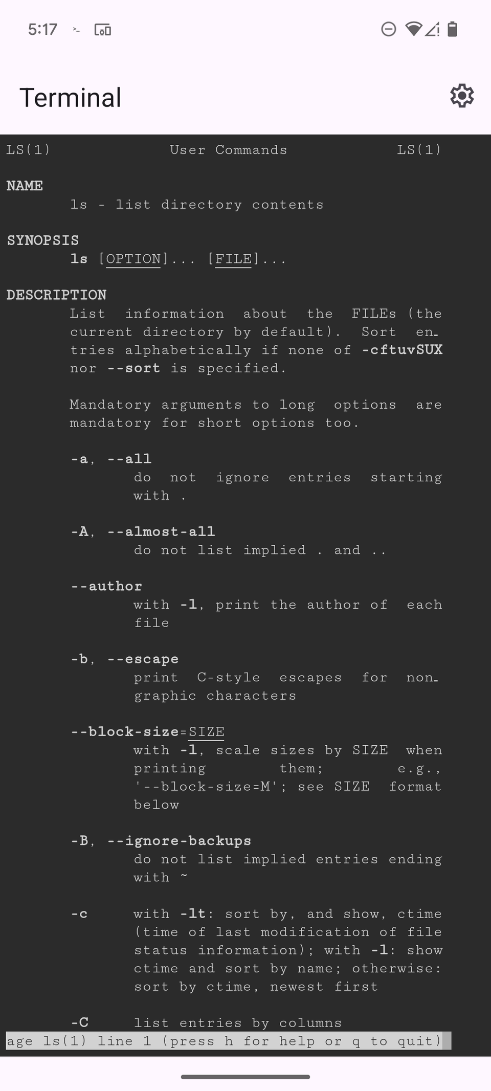 How to Use Your Pixel's Hidden Linux Terminal (and Should You?)