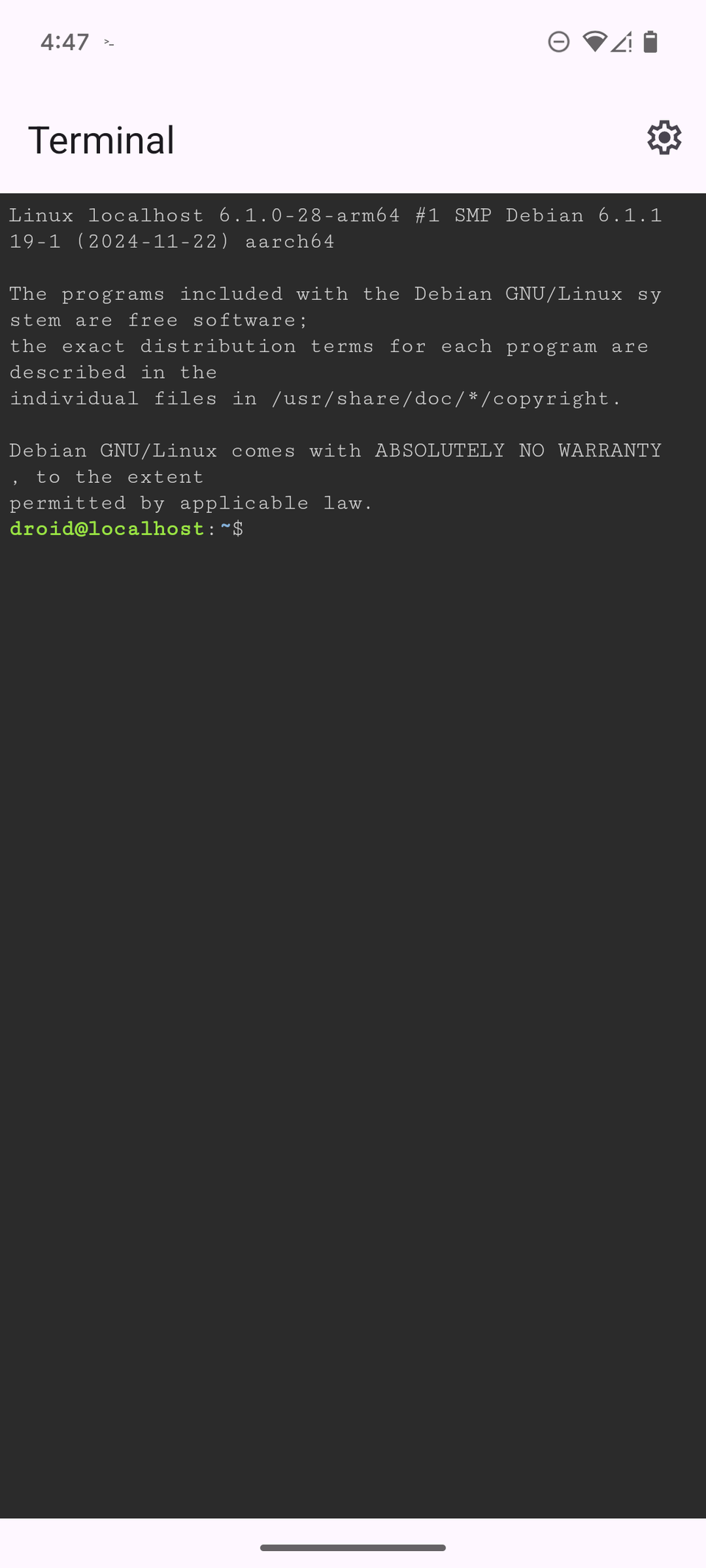 How to Use Your Pixel's Hidden Linux Terminal (and Should You?)