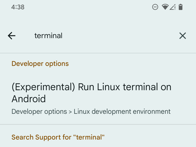 How to Use Your Pixel's Hidden Linux Terminal (and Should You?)