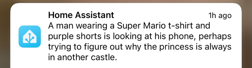 A notification from Home Assistant describing someone caught on the video doorbell in a cheeky way.