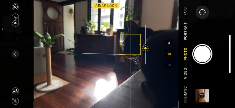 5 iPhone Camera Tricks I Use All the Time