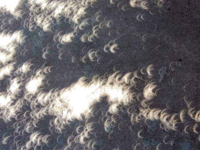 How Do You Safely View a Solar Eclipse?