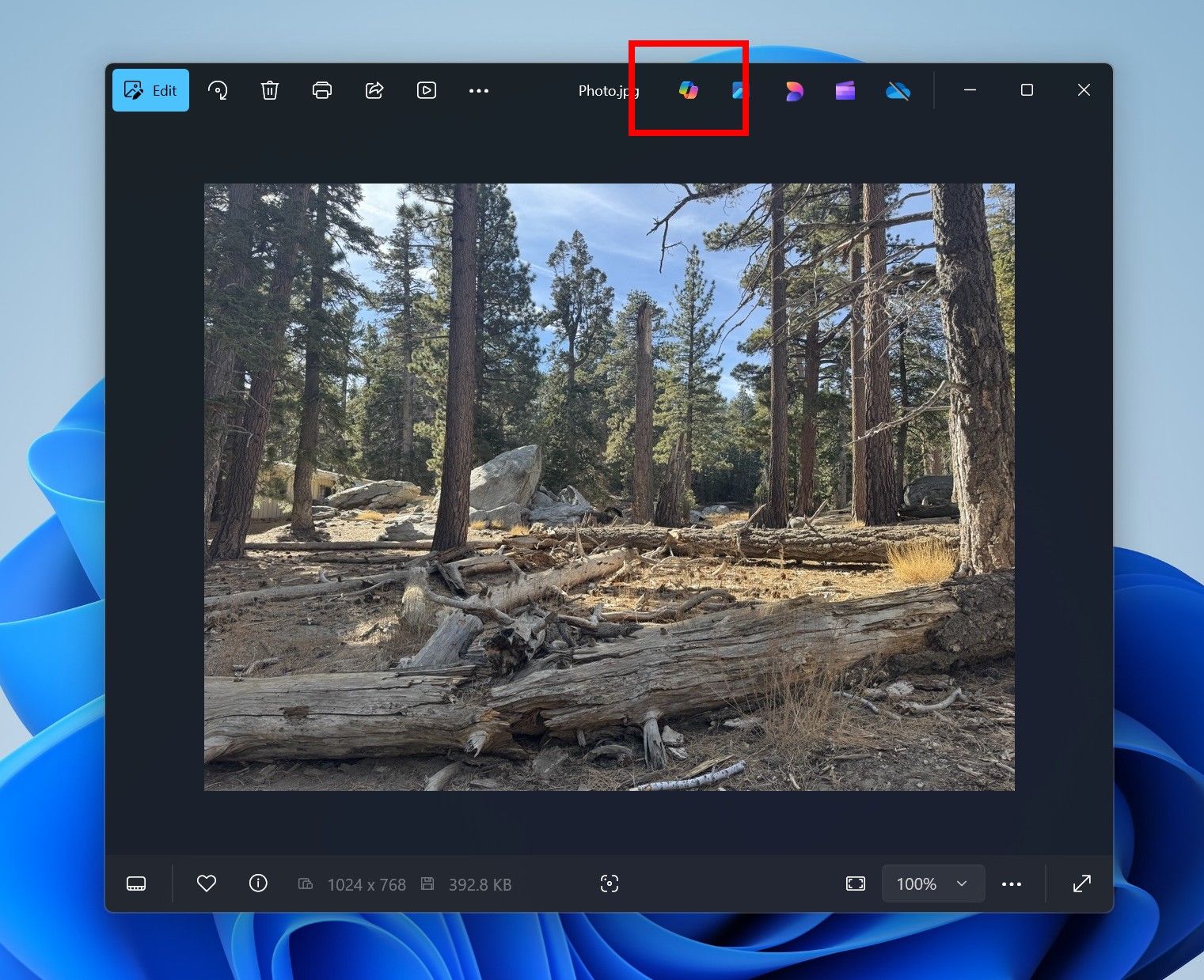 Windows 11's Photos App Is Getting OCR and Copilot