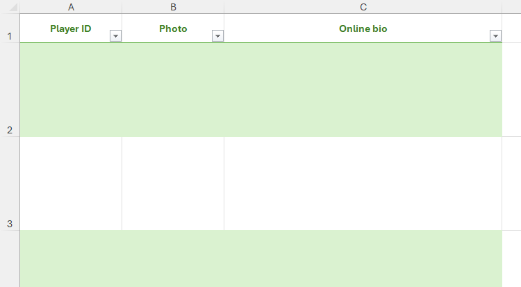 A blank, formatted Excel table with column headers for Player ID, Photo, and Online bio.