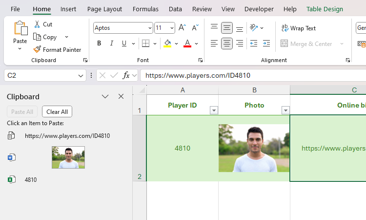 Вставленные элементы из буфера обмена — прямо по столбцам таблицы Excel.