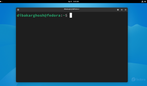 Fedora GNOME terminal.
