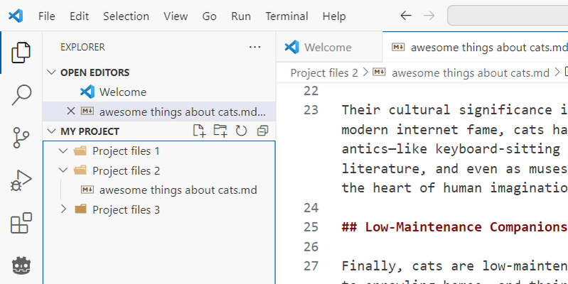 The File Explorer of VS Code in the navigation page.