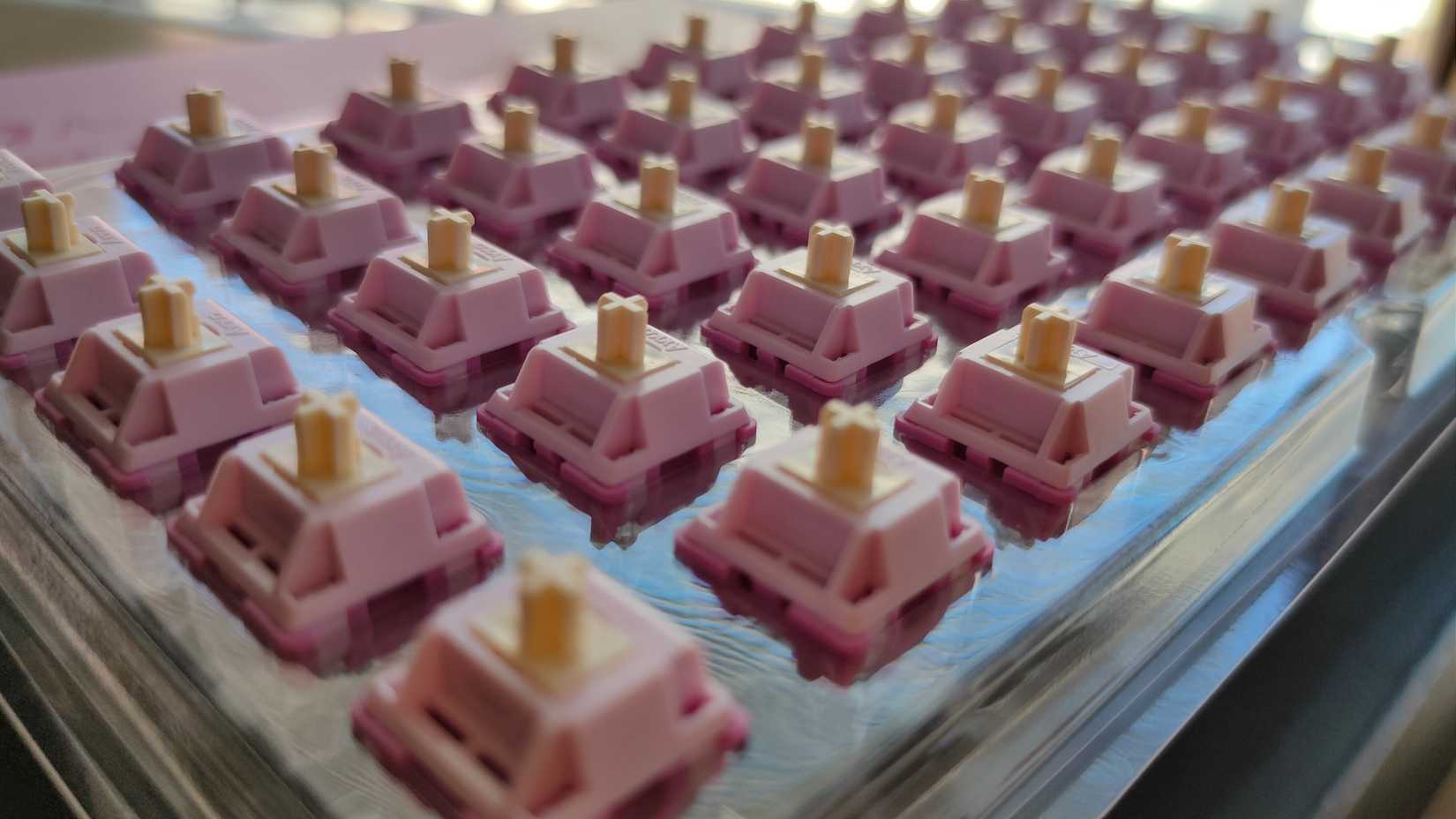 The Akko V3 Creamy Purple Pro switches on a tray.